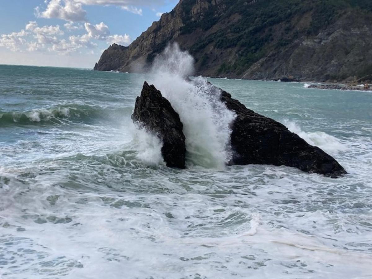 蒙特罗索阿尔马雷La Gemma Di Monterosso, In Centro Vicino Al Mare公寓 外观 照片
