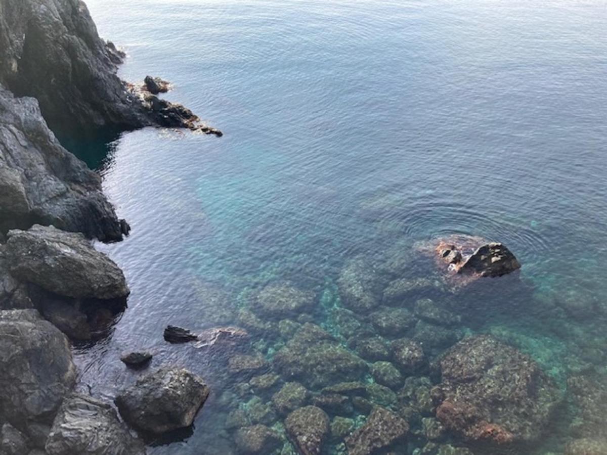 蒙特罗索阿尔马雷La Gemma Di Monterosso, In Centro Vicino Al Mare公寓 外观 照片